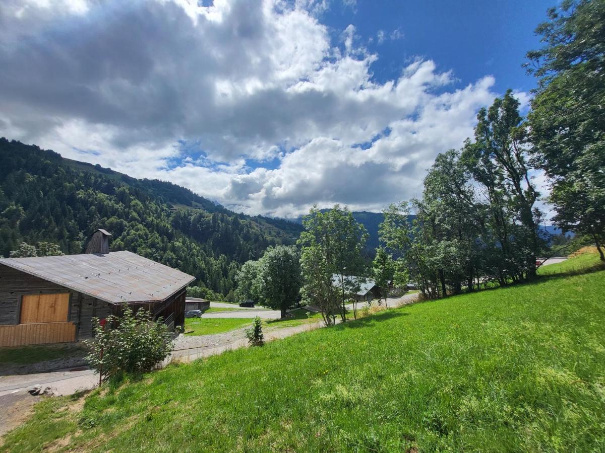 Appartement Cosy Face Aux Aravis 大博尔南 外观 照片