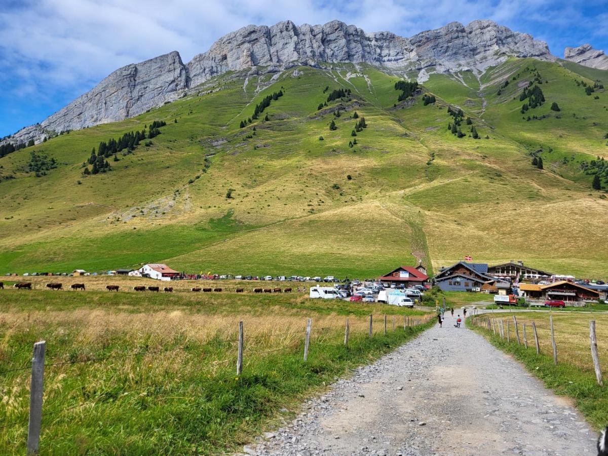 Appartement Cosy Face Aux Aravis 大博尔南 外观 照片