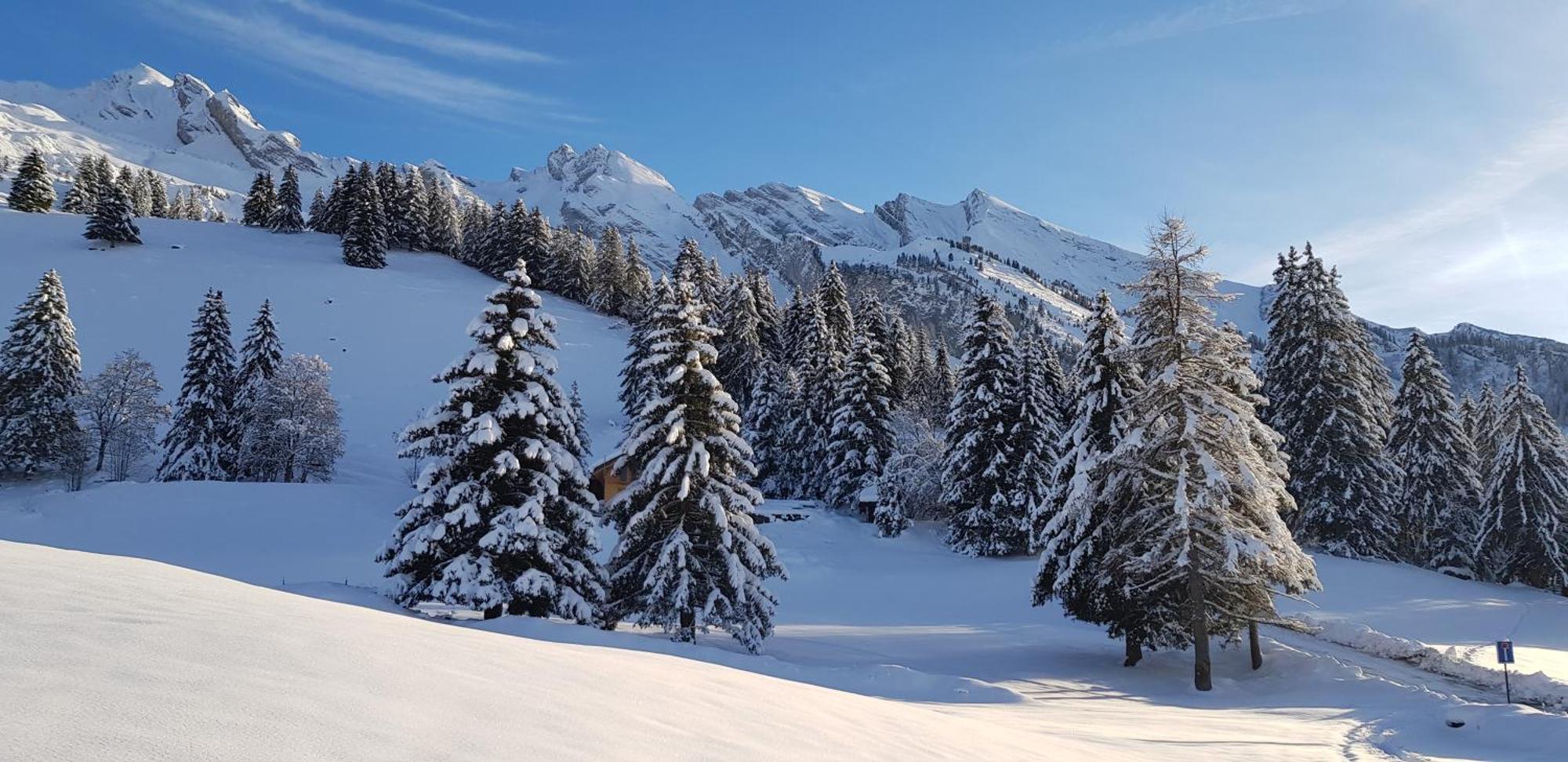 Appartement Cosy Face Aux Aravis 大博尔南 外观 照片