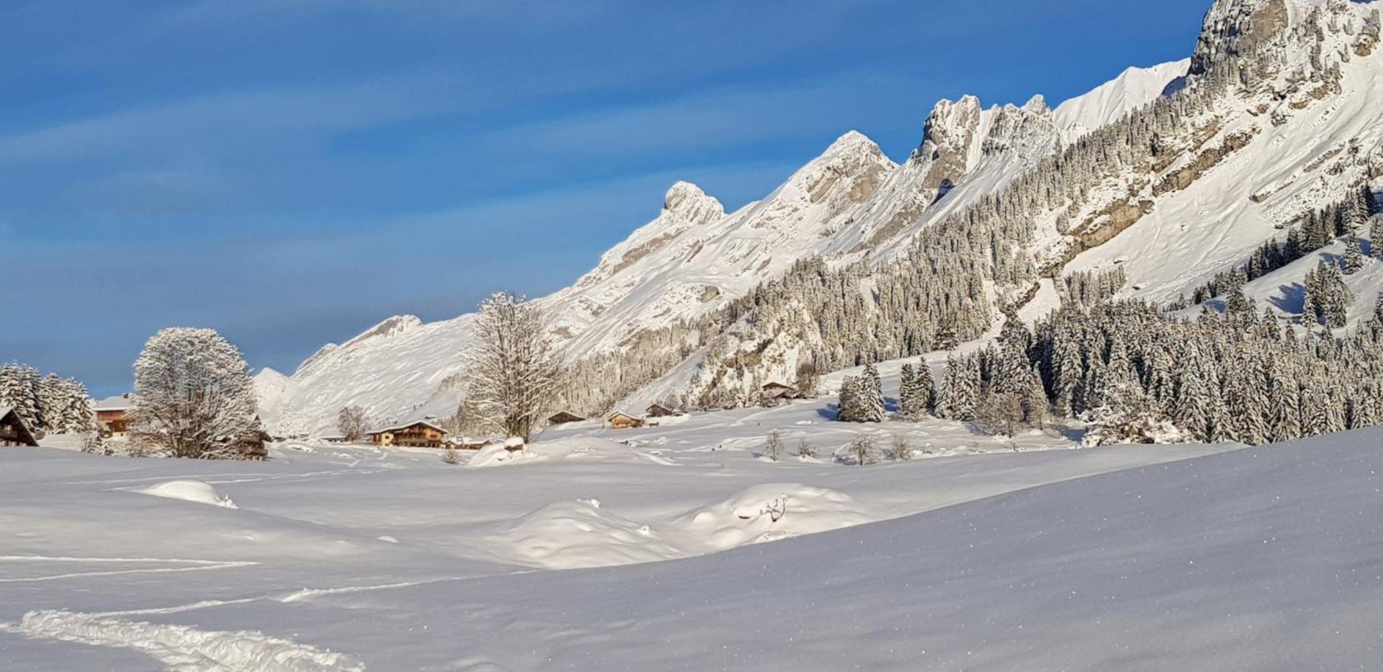 Appartement Cosy Face Aux Aravis 大博尔南 外观 照片