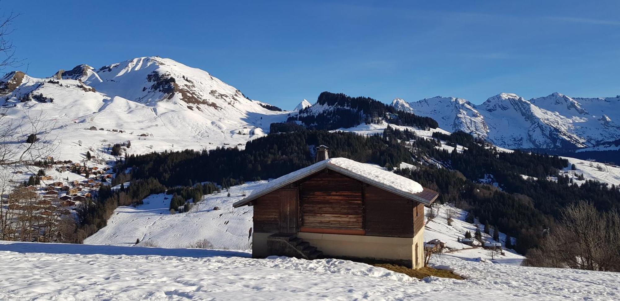 Appartement Cosy Face Aux Aravis 大博尔南 外观 照片