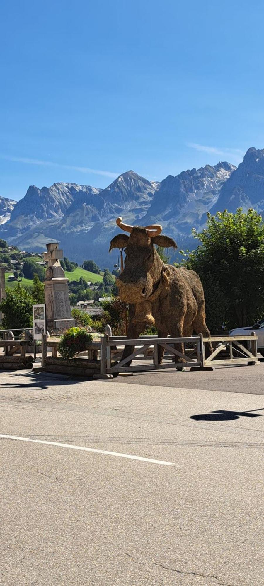Appartement Cosy Face Aux Aravis 大博尔南 外观 照片