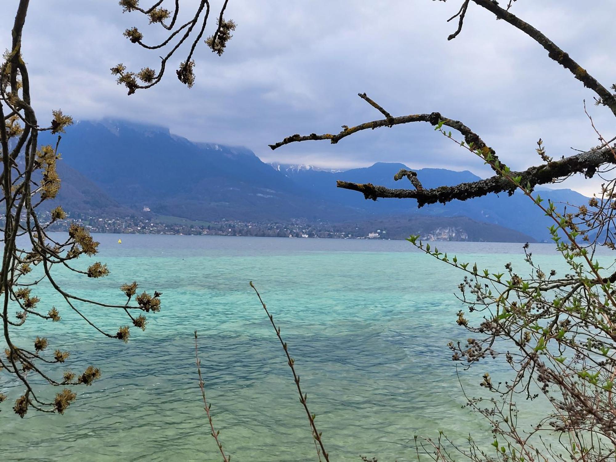 Appartement Cosy Face Aux Aravis 大博尔南 外观 照片